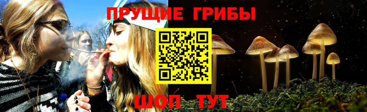Сертолово  Псилоцибиновые грибы прущие грибы  Вход с VPN 