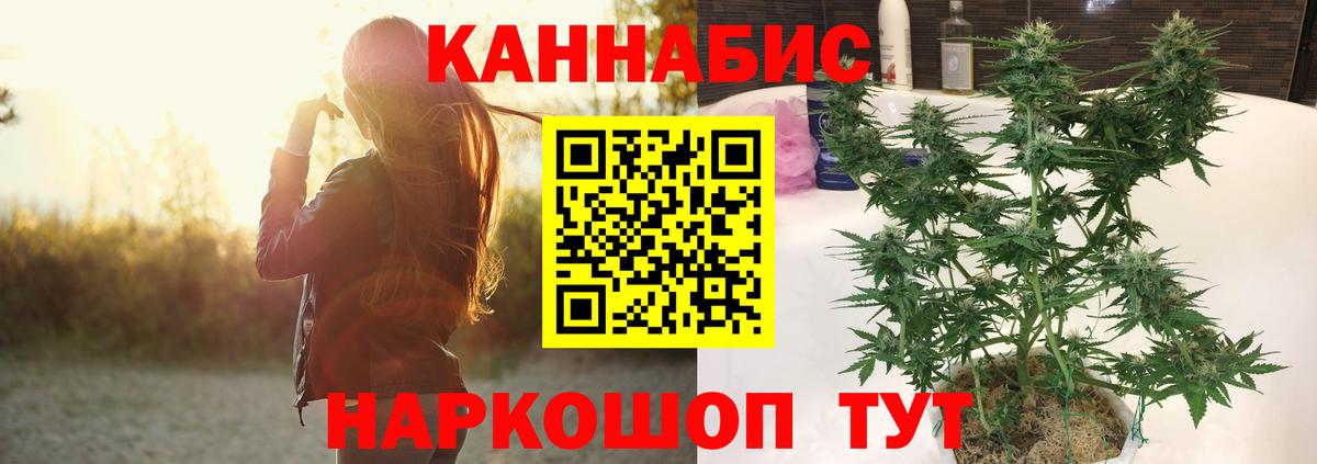 Бошки Шишки Ganja Сертолово